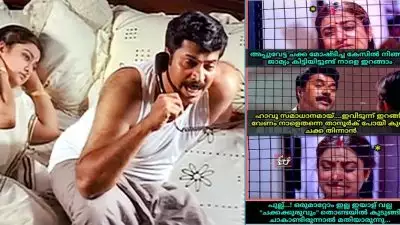 'ഇയാള് വല്ല ചക്കക്കുരുവും തൊണ്ടയില്‍ കുടുങ്ങി ചാകാതിരുന്നാല്‍ മതിയായിരുന്നു'; വേഷത്തിലെ ഡയലോഗ് കുത്തിപ്പൊക്കി സോഷ്യല്‍ മീഡിയ, ട്രോള്‍ പൂരം