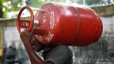 പിഎൻജി ഉള്ളവർ എൽപിജി കണക്ഷൻ 15 ദിവസത്തിനകം തിരിച്ചേൽപ്പിക്കണം; പുതിയ കണക്ഷൻ എടുക്കാനോ നിലവിലുള്ളവ റീഫിൽ ചെയ്യാനോ പാടില്ലെന്ന് സിവിൽ സപ്ലൈസ് കമ്മിഷണർ