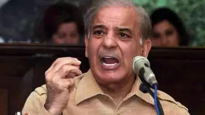 പ്രവാചകനിന്ദ: ഇന്ത്യയ്ക്ക് ലോകരാജ്യങ്ങള്‍ പരസ്യശാസന നല്‍കണമെന്ന് ആവശ്യമുന്നയിച്ച് പാകിസ്ഥാന്‍