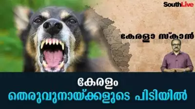 കേരളം തെരുവുനായ്ക്കളുടെ പിടിയിൽ