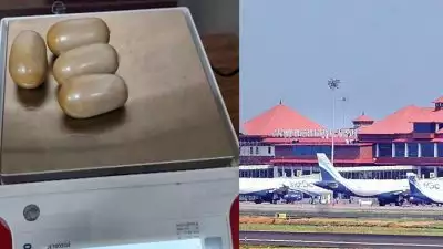 കൊച്ചി വിമാനത്താവളത്തില്‍ മൂന്നേകാല്‍ കിലോ സ്വര്‍ണം പിടികൂടി