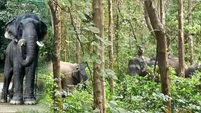 കുങ്കികള്‍ അഥവാ മാനസാന്തരപ്പെട്ട ചട്ടമ്പികള്‍; കടുവയെ വരെ വേട്ടയാടുന്ന ആനപ്പോക്രികള്‍; കേരളത്തിന്റെ ഗുണ്ട 'കോന്നി സുരേന്ദ്രന്‍'; സഹായികള്‍ 'ഭരതന്‍ എസ്‌ഐ' വിക്രം