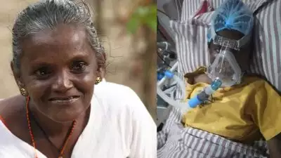 രണ്ട് ദിവസം കഴിയാതെ ഒന്നും പറയാന്‍ പറ്റില്ല; മോളി കണ്ണമാലി ഗുരുതരാവസ്ഥയില്‍ തുടരുന്നു