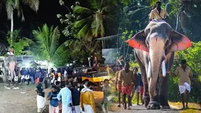 പുറകിലെ ആന ചിന്നംവിളിച്ചു; പേടിച്ച് ഇടഞ്ഞ് ഓടി തെച്ചിക്കോട്ട്കാവ് രാമചന്ദ്രന്‍; പാപ്പാനടക്കം മൂന്നു പേര്‍ക്ക് പരിക്ക്