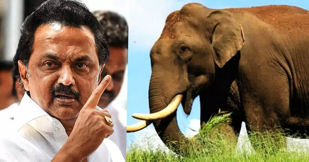 അരികൊമ്പന്റെ അലമ്പ് തുടര്ന്നാല് പിടിക്കും, കൂട്ടിലടയ്ക്കും; കേരളം വിവരം കൈമാറുന്നില്ല; മേഘമലയില് നിയന്ത്രണം, ജനങ്ങള്ക്ക് മുന്നറിയിപ്പുമായി തമിഴ്നാട്