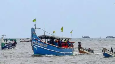 ട്രോളിംഗ് നിരോധനം ഇന്ന് അർദ്ധരാത്രി അവസാനിക്കും; പ്രതീക്ഷയോടെ മത്സ്യത്തൊഴിലാളികൾ, മീൻ വില കുറഞ്ഞേക്കും