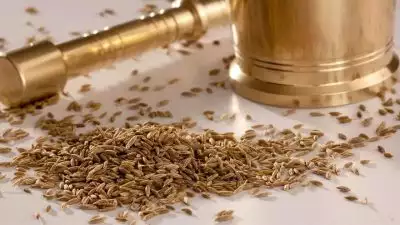 കാണാൻ കുഞ്ഞൻ, ഗുണങ്ങൾ പലത്; അറിയാം ജീരകത്തിന്റെ ആരോ​ഗ്യ ​ഗുണങ്ങൾ...