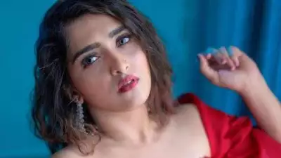 മലയാളത്തില്‍ നിന്നും മന:പൂര്‍വം ഇടവേള എടുത്തതാണ്, അതിനൊരു കാരണമുണ്ട്..; വെളിപ്പെടുത്തി സനുഷ