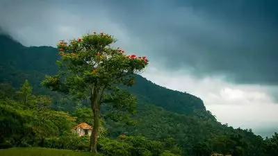 കര്‍ഷക സംഘടനകളുടെ ആവശ്യം അംഗീകരിച്ചു; വനഭൂമി പട്ടയത്തിന് അപേക്ഷ നല്‍കാനുള്ള സമയം നീട്ടി; സമഗ്ര വിവര ശേഖരണം നടത്തുമെന്ന് മന്ത്രി