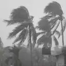 വേനൽ ചൂടിന് ആശ്വാസമായി മഴ; കൊച്ചിയിൽ വ്യാപക നാശനഷ്ടം; മരങ്ങൾ ഒടിഞ്ഞു വീണ് വീടുകൾക്കും വാഹനങ്ങൾക്കും കേടുപാടുകൾ