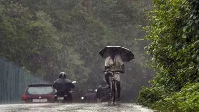 വരുന്നത് അതിശക്തമായ മഴ, അഞ്ച് ജില്ലകളിൽ യെല്ലോ അലർട്ട്; കേരളം തീരത്ത് നാളെ രാത്രി വരെ കള്ളക്കടൽ പ്രതിഭാസം