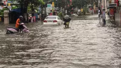 മൺസൂൺ പാത്തി സജീവമായി തുടരുന്നു; സംസ്ഥാനത്ത് എട്ട് ജില്ലകളിൽ റെഡ് അലർട്ട്