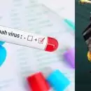 സംസ്ഥാനത്ത് വീണ്ടും നിപ; പാലക്കാട് നിപ ബാധിച്ച് മരിച്ചയാളുടെ മകനും രോഗം സ്ഥിരീകരിച്ചു