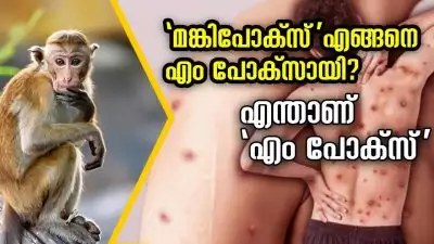 മങ്കിപോക്സ് എങ്ങനെ എം പോക്‌സായി? എന്താണ് എം പോക്സ്, അറിയാം ലക്ഷണങ്ങളും പ്രതിരോധ മാർഗങ്ങളും