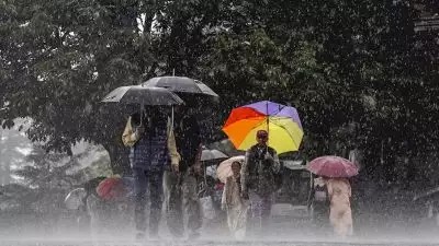 അതിശക്തമായ മഴയ്ക്ക് സാധ്യത; കേരളാ തീരത്ത് മത്സ്യബന്ധത്തിന് വിലക്ക്