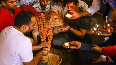 മഹാരാഷ്ട്രയിലെ പശുക്കള്‍ ഇനി രാജ്യമാതാ; പുതിയ പ്രഖ്യാപനവുമായി സര്‍ക്കാര്‍; ക്ഷീര കര്‍ഷകര്‍ക്ക് പ്രതിമാസം 15,00 രൂപ സബ്‌സിഡി