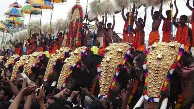 തലയെടുപ്പും വണങ്ങലും വേണ്ട, സ്വകാര്യ ആവശ്യങ്ങള്‍ക്ക് ആനകളെ ഉപയോഗിക്കരുത്; ആനപ്രേമികള്‍ക്ക് തിരിച്ചടിയായി അമിക്കസ് ക്യൂറി റിപ്പോര്‍ട്ട്