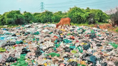 ഹരിതട്രിബ്യൂണല്‍ അനുവദിച്ചത് മൂന്ന് ദിവസം മാത്രം; തമിഴ്‌നാട്ടില്‍ കേരളം തള്ളിയ മാലിന്യം നീക്കം ചെയ്യുന്നു