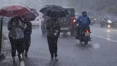 കനത്ത മഴയ്ക്ക് സാധ്യത; വയനാട് ജില്ലയിലെ വിദ്യാഭ്യാസ സ്ഥാപനങ്ങള്‍ക്ക് തിങ്കളാഴ്ച അവധി