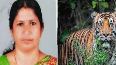 മാനന്തവാടിയിൽ കടുവ ആക്രമണത്തിൽ സ്ത്രീ മരിച്ച സംഭവം: അഞ്ച് ലക്ഷം രൂപ അടിയന്തര ധനസഹായമായി കൈമാറി