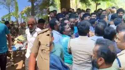 പഞ്ചാരക്കൊല്ലിയിൽ വീണ്ടും കടുവയെ കണ്ടു; ഡ്രോൺ പറത്തി പരിശോധിച്ച് വനംവകുപ്പ്