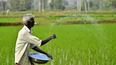 കാർഷിക മേഖലയ്ക്ക് വിവിധ പദ്ധതികളുമായി കേന്ദ്ര ബജറ്റ്; 'പ്രധാനമന്ത്രി ധൻ ധാന്യ കൃഷി യോജന' പ്രഖ്യാപിച്ചു