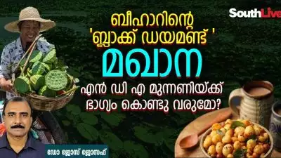 ബീഹാറിന്റെ 'ബ്ലാക്ക് ഡയമണ്ട് ' മഖാന എന്‍ ഡി എ മുന്നണിയ്ക്ക് ഭാഗ്യം കൊണ്ടു വരുമോ?