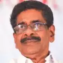 'യുഡിഎഫിനെ വഴിയമ്പലമായി കാണരുത്, പി വി അൻവർ സംയമനം പാലിക്കണം'; മുല്ലപ്പള്ളി രാമചന്ദ്രൻ