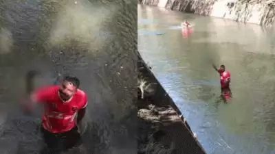 മൂലമറ്റത്ത് ഗുണ്ടാനേതാവ് സാജനെ കൊലപ്പെടുത്തിയ സംഭവം; സുപ്രധാന തെളിവായ വാക്കത്തി കണ്ടെത്തി