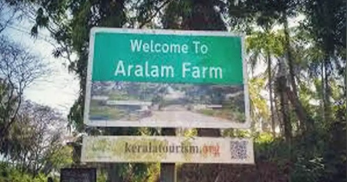 ആറളം ഫാമിൽ വീണ്ടും കാട്ടാന ആക്രമണം; ദമ്പതികൾക്ക് പരിക്ക്