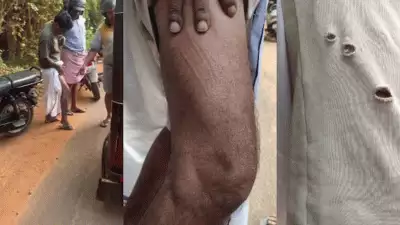 മലപ്പുറത്ത് ബൈക്ക് യാത്രികന് നേരെ പുലിയുടെ ആക്രമണം