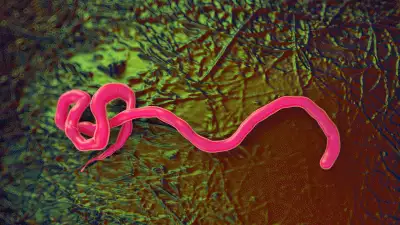 വീണ്ടും എബോള പടരുന്നു; രോഗം സ്ഥിരീകരിച്ച പത്ത് പേര്‍ ചികിത്സയില്‍