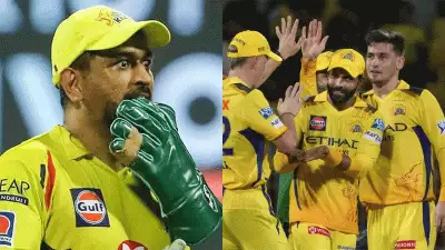 CSK VS LSG: നീയൊക്കെ എന്ത് പണിയാട കാണിച്ചേ, എന്നെ ഒരിക്കലും ഇതിന് വിളിക്കരുതായിരുന്നു: എം എസ് ധോണി