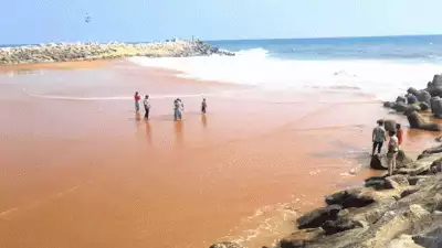 തിരുവനന്തപുരം മുതലപ്പൊഴിയില്‍ പൊഴിമുറിക്കല്‍ ആരംഭിച്ചു; പ്രതിസന്ധിക്ക് കാരണം സര്‍ക്കാര്‍ അനാസ്ഥയെന്ന് പ്രതിപക്ഷം