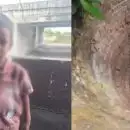 പാലക്കാട് അമ്മയുടെ കൊടും ക്രൂരത, 4 വയസ്സുകാരനെ 25 അടി താഴ്ചയുള്ള കിണറ്റിലെറിഞ്ഞു; മോട്ടോർ പൈപ്പിൽ പിടിച്ചുനിന്ന കുഞ്ഞിനെ രക്ഷിച്ചത് നാട്ടുകാർ