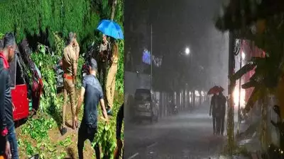 സംസ്ഥാനത്ത് പെയ്ത കനത്ത മഴയിൽ വ്യാപക നാശനഷ്ടം; മരങ്ങൾ കടപുഴകി, വീടുകൾ തകർന്നു