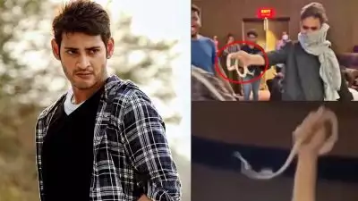 ജീവനുള്ള പാമ്പുമായി തിയേറ്ററില്‍! മഹേഷ് ബാബു ആരാധകന്റെ അതിര് വിട്ട ആഘോഷം; വീഡിയോ