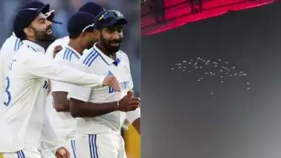 RCB VS KKR: പ്രകൃതി കോഹ്‌ലിക്ക് അർപ്പിച്ചത് വലിയ ആദരവ്, വട്ടമിട്ട പ്രാവുകൾ നൽകിയത് കാവ്യാത്മക സല്യൂട്ട്; വീഡിയോ ഏറ്റെടുത്ത് സോഷ്യൽ മീഡിയ