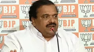 രാജീവ് ചന്ദ്രശേഖറിന്റെ നേതൃത്വത്തില്‍ ബിജെപി ഒറ്റക്കെട്ടായാണ് മുന്നോട്ട് പോകുന്നത്; ആരോപണങ്ങള്‍ അടിസ്ഥാനരഹിതമാണെന്ന് പികെ കൃഷ്ണദാസ്