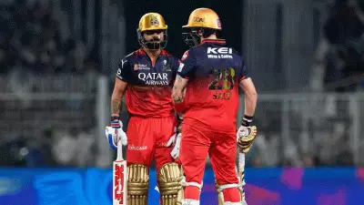 RCB VS PBKS: നിനക്കൊക്കെ ജയിക്കണമെങ്കിൽ ആദ്യം സാൾട്ടിനെ പുറത്താക്കണം, എന്നിട്ടല്ലേ ബാക്കി; ഫൈനലിലേക്ക് രാജകീയ പ്രവേശനം നേടി ആർസിബി