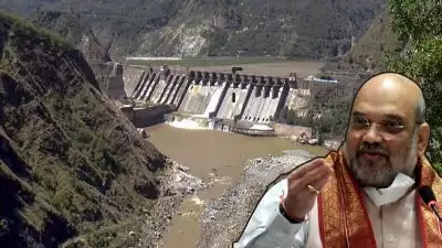 'പാകിസ്ഥാന്‍ വെള്ളം കിട്ടാതെ വലയും'; സിന്ധൂ നദീജല കരാര്‍ ഇന്ത്യ ഇനി ഒരിക്കലും പുനഃസ്ഥാപിക്കില്ലെന്ന് അമിത് ഷാ
