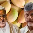 തോത്താപുരി മാമ്പഴത്തിന്റെ പേരില്‍ തമ്മിലടിച്ച് കര്‍ണാടകയും ആന്ധ്രയും; ചന്ദ്രബാബു നായിഡുവിന് കത്തെഴുതി സിദ്ധരാമയ്യ; വിലക്കില്‍ പ്രതിഷേധവുമായി കര്‍ഷകര്‍