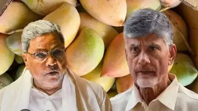 തോത്താപുരി മാമ്പഴത്തിന്റെ പേരില്‍ തമ്മിലടിച്ച് കര്‍ണാടകയും ആന്ധ്രയും; ചന്ദ്രബാബു നായിഡുവിന് കത്തെഴുതി സിദ്ധരാമയ്യ; വിലക്കില്‍ പ്രതിഷേധവുമായി കര്‍ഷകര്‍