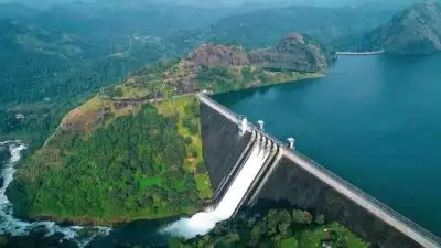 ഇടുക്കി ഡാം വ്യൂ പോയിന്റിൽ സഞ്ചാരികൾക്ക് വിലക്ക്; വഴി മുളകെട്ടി അടച്ചു