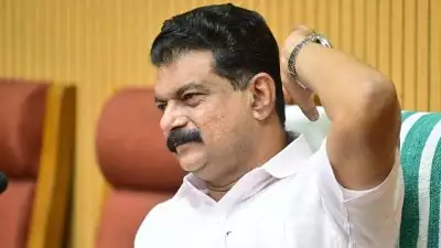 പി വി അൻവർ സ്വതന്ത്ര സ്ഥാനാർത്ഥി; അന്‍വറിന്റെ ഒരു സെറ്റ് പത്രിക തള്ളി