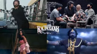 ക്ലൈമാക്‌സ് ഷൂട്ട് ചെയ്യാന്‍ എടുത്തത് 120 ദിവസം, വിഎഫ്എക്‌സിന് 300 ദിവസം കൂടി..; പ്രഭാസിന്റെ 'രാജാസാബ്' വൈകാന്‍ കാരണം, വെളിപ്പെടുത്തി നിര്‍മ്മാതാവ്