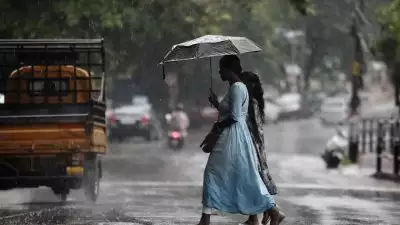 ന്യൂനമര്‍ദത്തിന് ശക്തി കുറഞ്ഞു, സംസ്ഥാനത്ത് മഴ കുറയുമെന്ന് കാലാവസ്ഥ വകുപ്പ്; നാല് ജില്ലകളില്‍ യെല്ലോ അലേര്‍ട്ട്