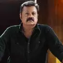 എന്നെ ആരും റൊമാന്റിക് ഹീറോ എന്ന് വിളിച്ചിട്ടില്ല, വളരെ സീരിയസ് ആയ പ്രണയങ്ങളാണ് മമ്മൂട്ടി ചെയ്തിട്ടുള്ളത് : സുരേഷ് ഗോപി
