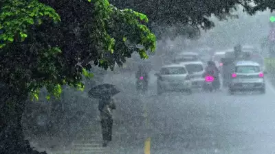 സംസ്ഥാനത്ത് കനത്ത മഴ തുടരുന്നു; എട്ട് ജില്ലകളിലെ വിദ്യാഭ്യാസ സ്ഥാപനങ്ങള്‍ക്ക് അവധി