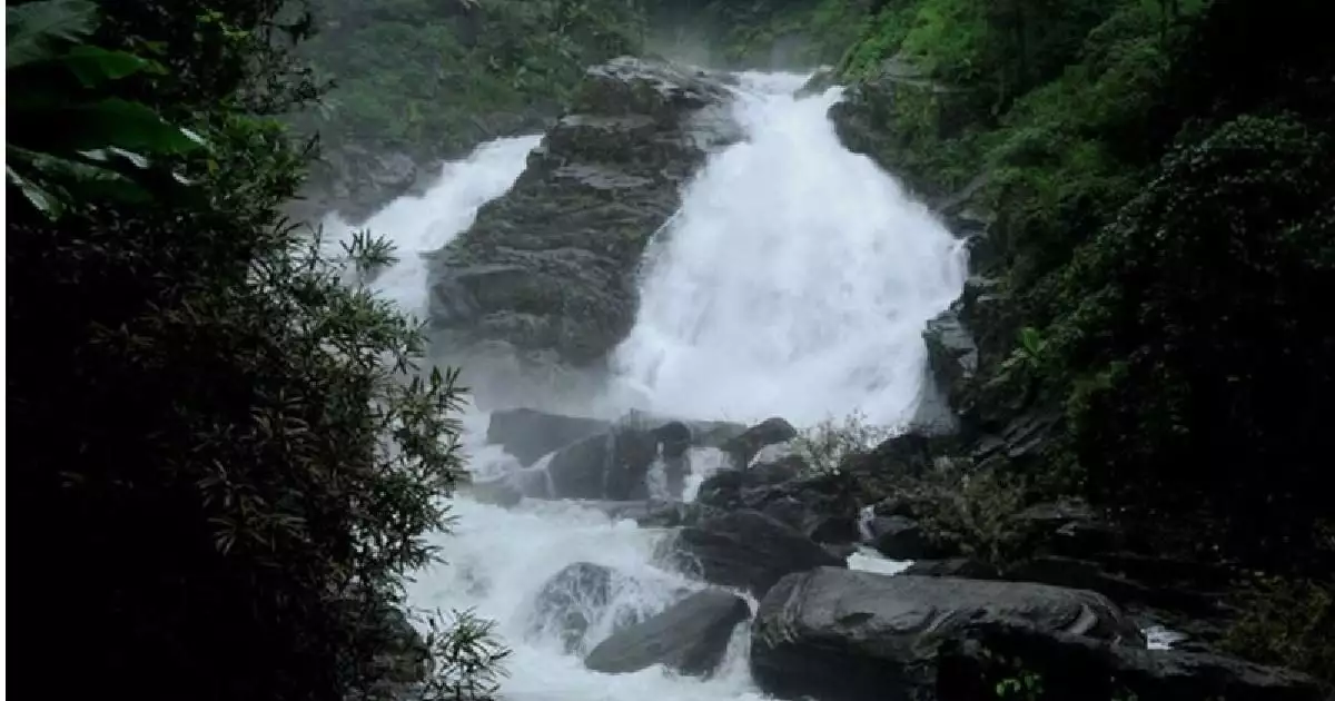 ആറളം മേഖലയിൽ മലവെള്ളപ്പാച്ചിൽ, ഉരുൾ പൊട്ടിയതായി സംശയം; 50ലധികം വീടുകളിൽ വെള്ളം കയറി